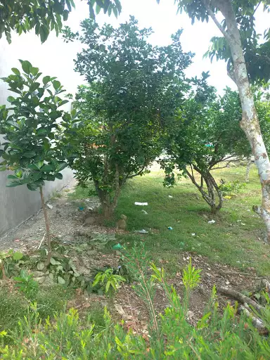 Rush Lot For Sale — Residential Lot in Camarines Sur, Philippines — Photo 4