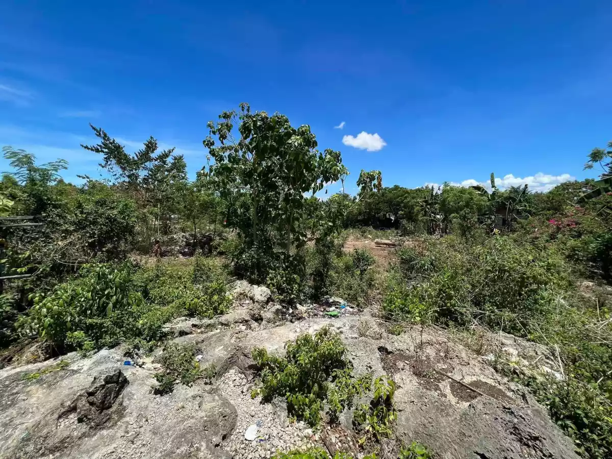 Lot for sale  - photo 7