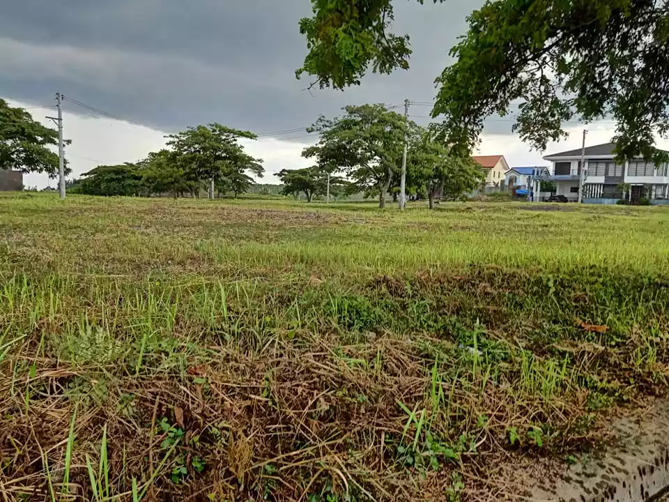 LOT near the Park at Aspen Heights, Consolacion, Cebu - photo 3