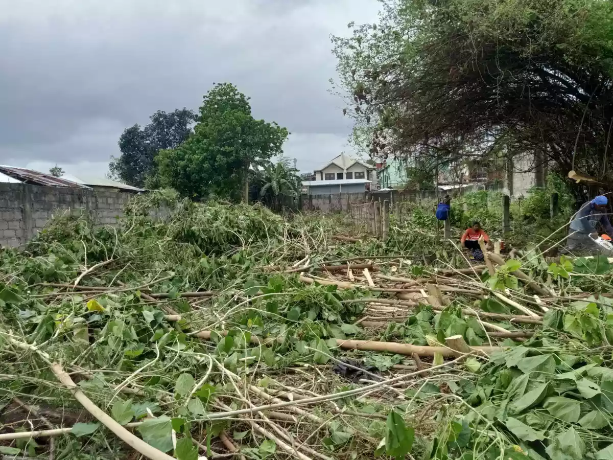 LOT FOR SALE — Residential Lot in Cebu, Philippines — Photo 7