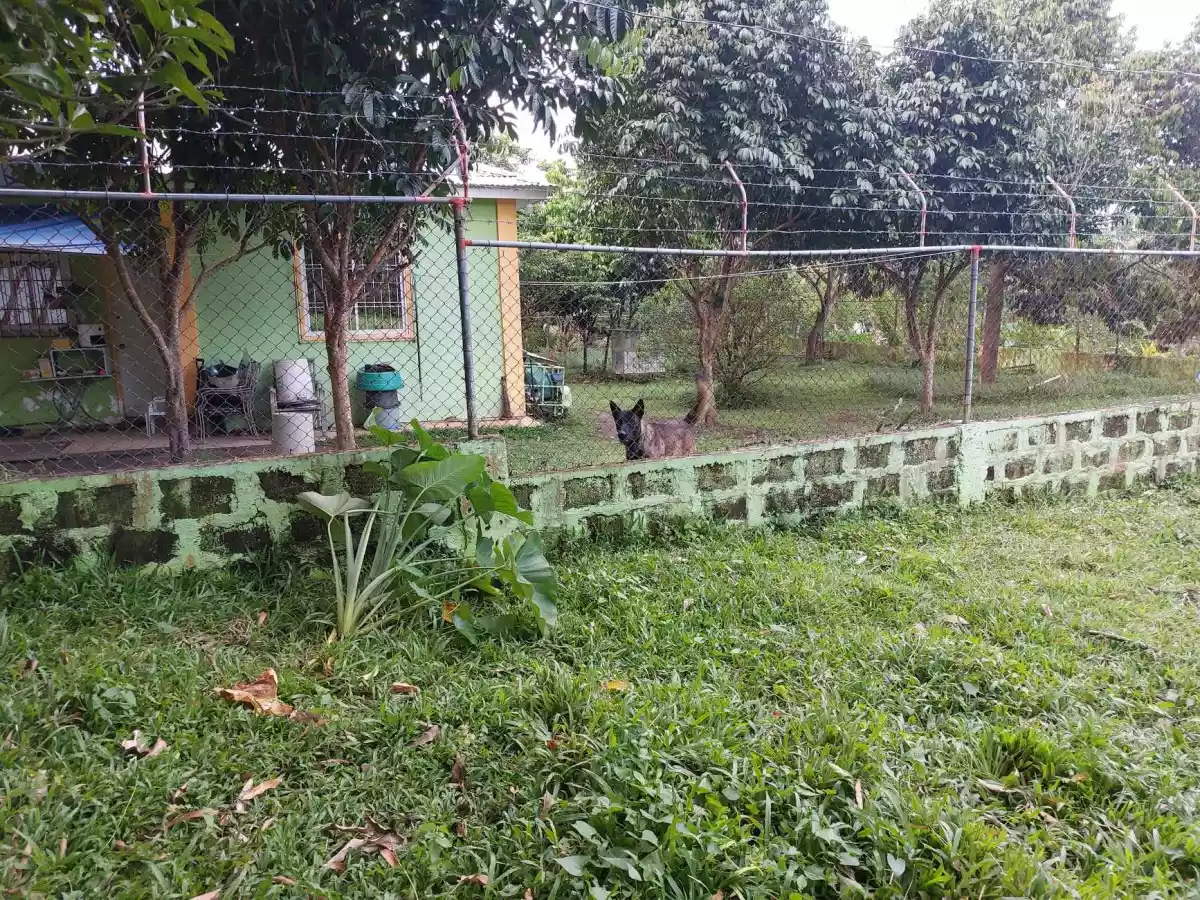 LOT FOR SALE - photo 6