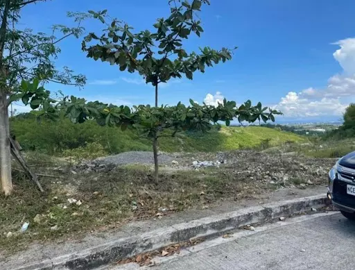 Lot for sale - photo 3