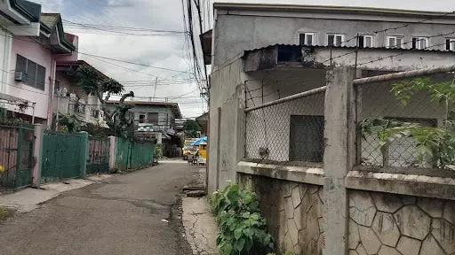 107-2017005556 — House and Lot in Cebu City, Cebu, Philippines — Photo 3