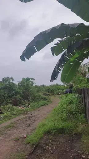 Open photo 19 of 21 — Cordova BIG LOT for SALE near CCLEX Cebu