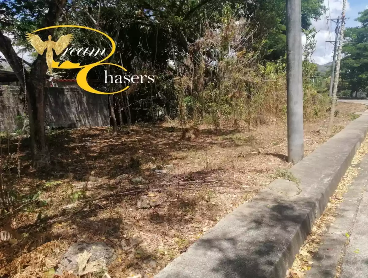 128 sqm Lot Only in Pulang-bato - photo 2