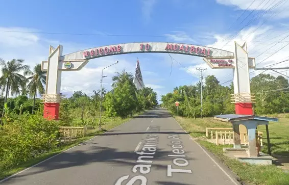 Commercial Lot - Balabagon Moalboal  - photo 3