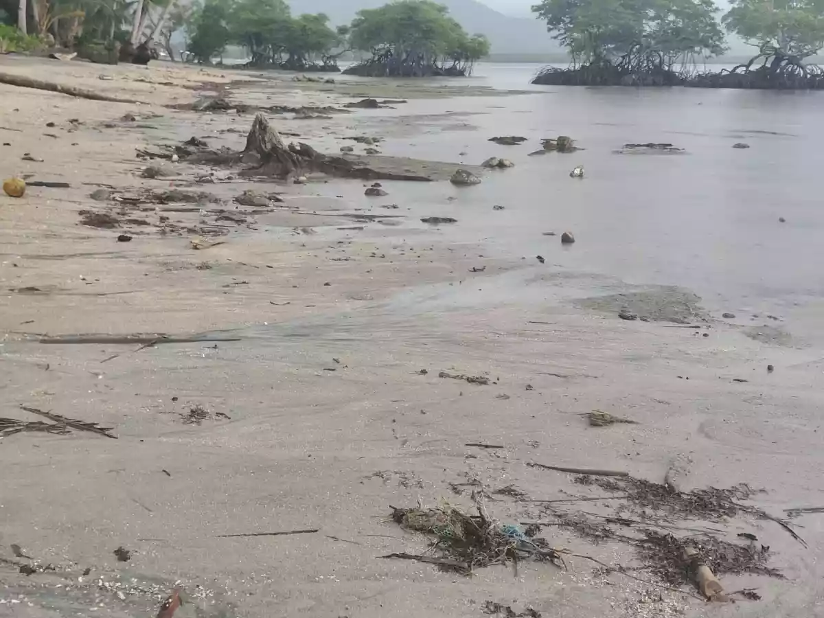 Open photo 15 of 15 — Beach Front Property for Sale (Sipalay)