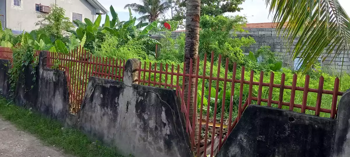 Residential lot - photo 5