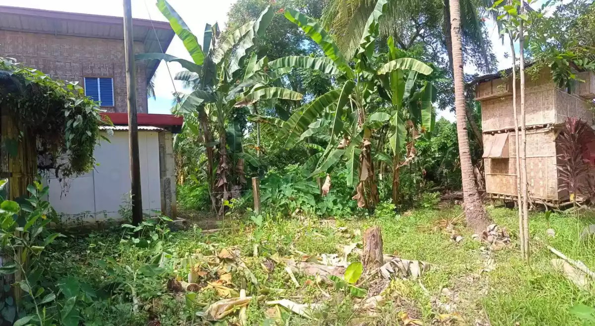 For SALE 2332 SQM LOT IN DAVAO CITY — Residential Lot in Buhangin, Davao City, Davao del Sur — Photo 3