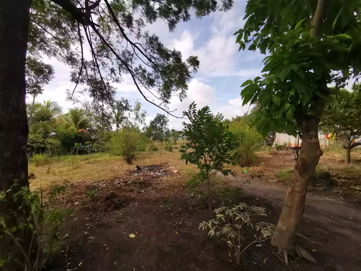 1000sqm and 1500sqm Lot at the Back of TLG Mabuhay 