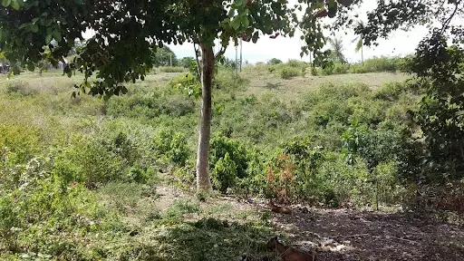 Open photo 53 of 57 — Lot for Sale in Amlan Negros Oriental