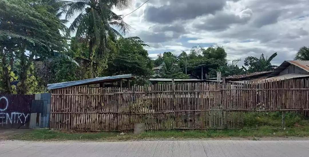 LARAY CONSOLACION LOT FOR SALE — Commercial Lot in Consolacion, Cebu, Philippines — Photo 3