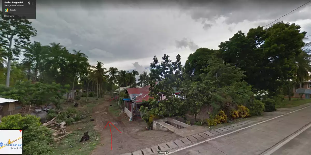 Lot For Sale Panglao Bohol - photo 6