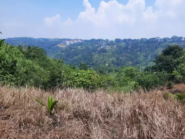 Tagaytay HOT Overlooking Lot w FREE Bungalow   - photo 3