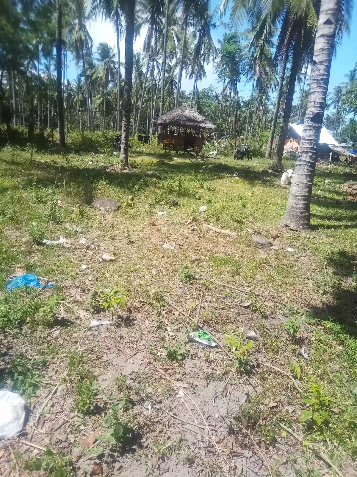 Maayong tubig dauin near the beach lot - photo 5