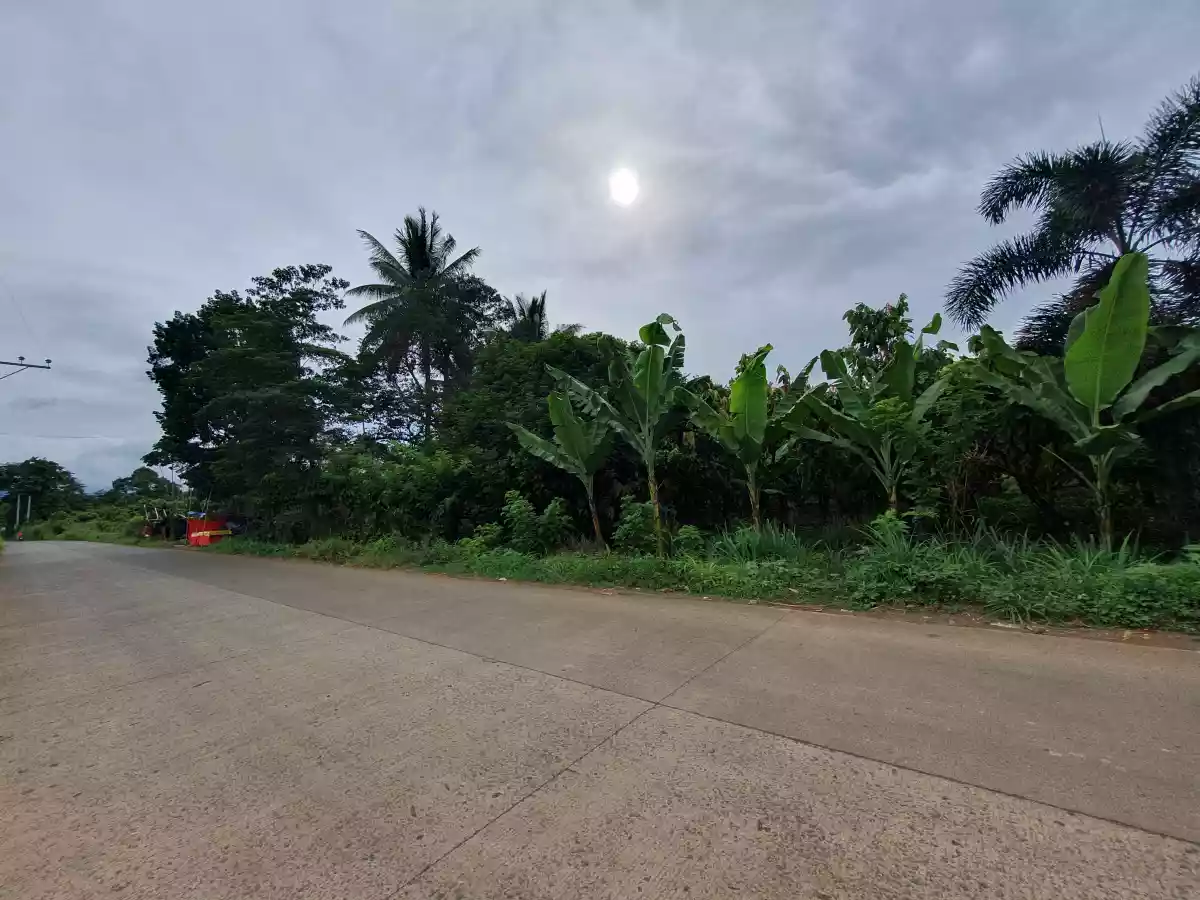 10 HECTARES LAND IN CALINAN DAVAO — Agricultural Lot in Calinan District, Davao City, Davao del Sur — Photo 4