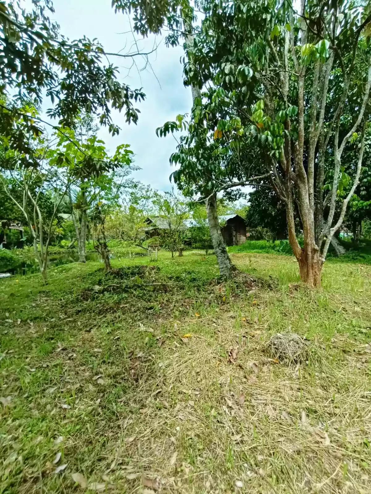 10398 sqm COMMERCIAL LOT IN MABINI ST, MAGUGPO SOUTH, TAGUM CITY - photo 6