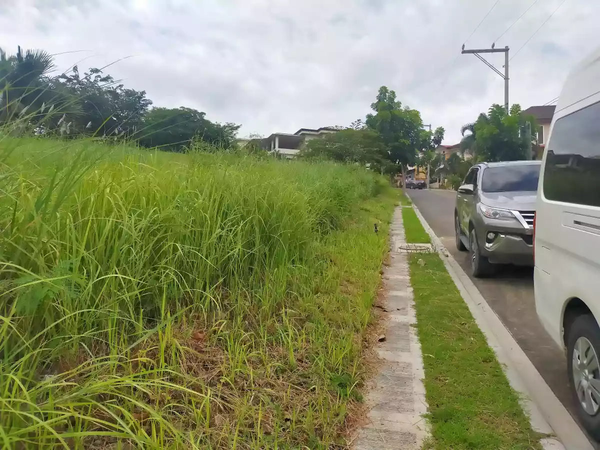 Kishanta Lot for Sale, Talisay City - photo 6
