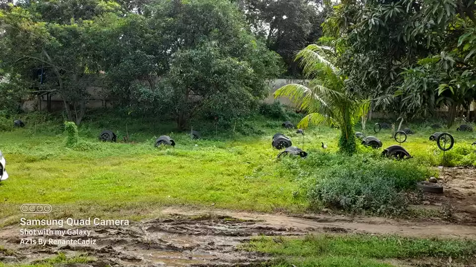 For Sale Lot 1796 sqm Tubod Minglanilla Cebu - photo 3