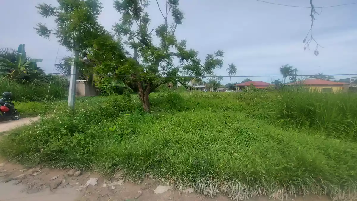 Residential lot for sale - photo 3