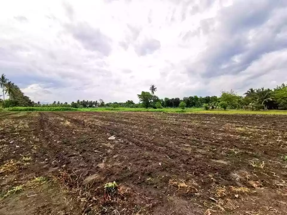 2 Hectares Property Along National Highway Lagao — Commercial Lot in Asian Highway 26, General Santos City, South Cotabato — Photo 3