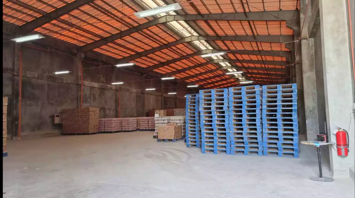 Warehouse for Rent 1,480 sqm 2 units and 4,170sqm - photo 4