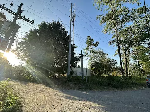 1 hectares Property 