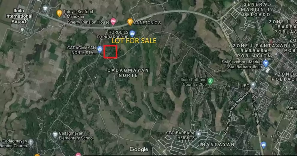 LOT FOR SALE IN STA BARBARA ILOILO