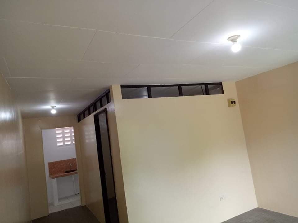 300 SQM (APARTMENT) LOT AREA IN CABANCALAN MANDAUE CITY - photo 2