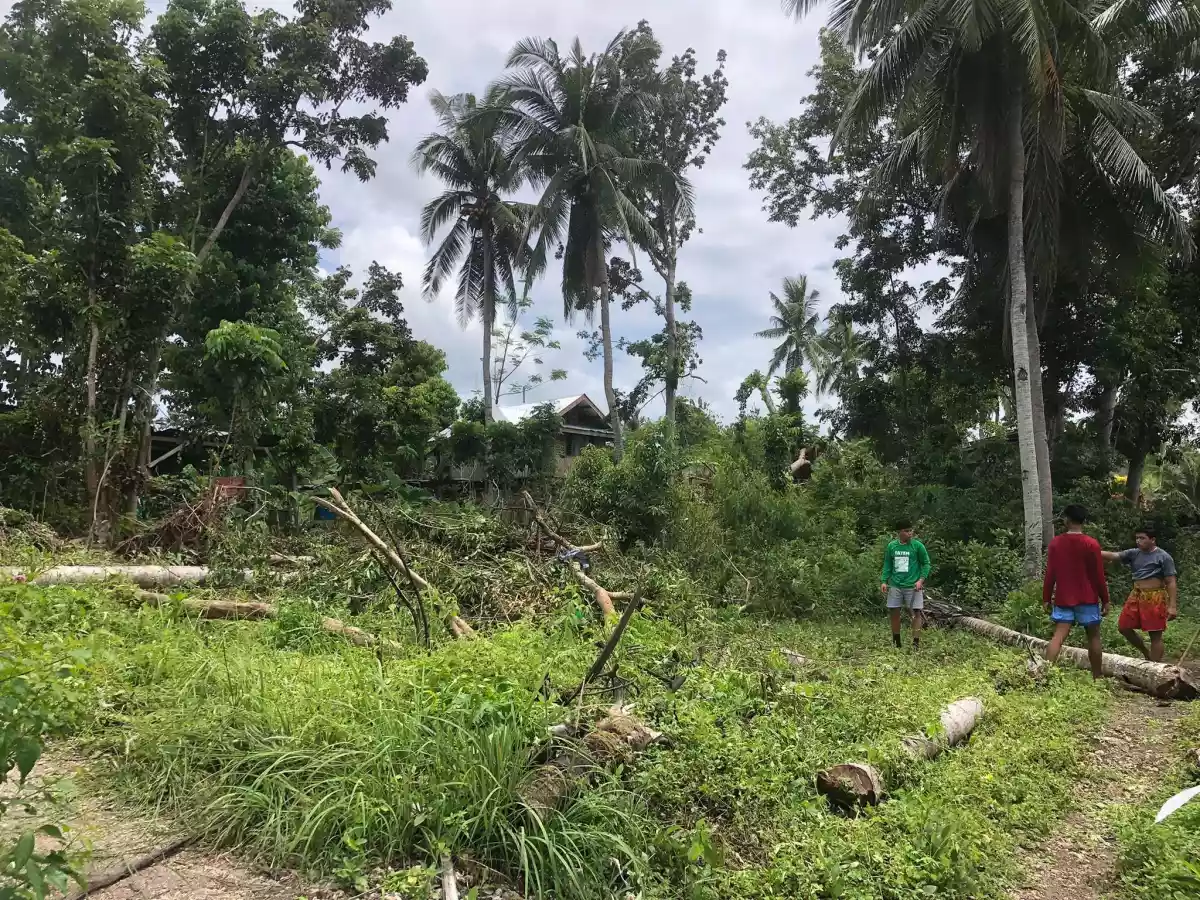 Lot for Sale in Dauis, walking distance to the beach! — Residential Lot in Dauis, Bohol, Philippines — Photo 2