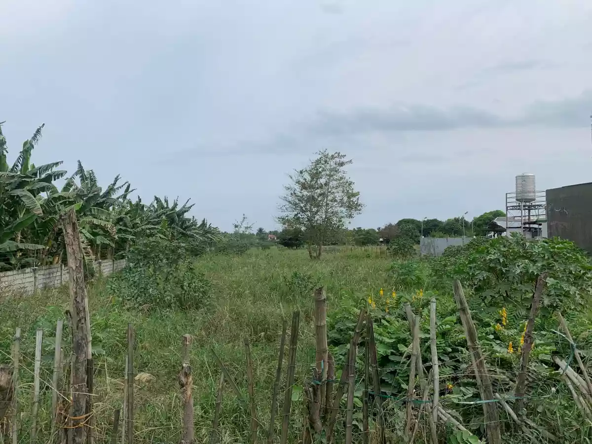 1 HECTARE COMMERCIAL LOT FOR SALE - photo 5