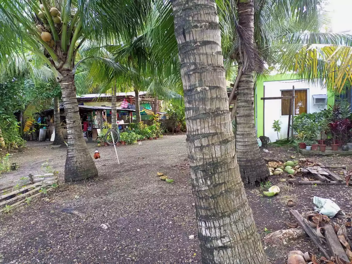FOR SALE BEACH LOT IN POLAMBATO - photo 5