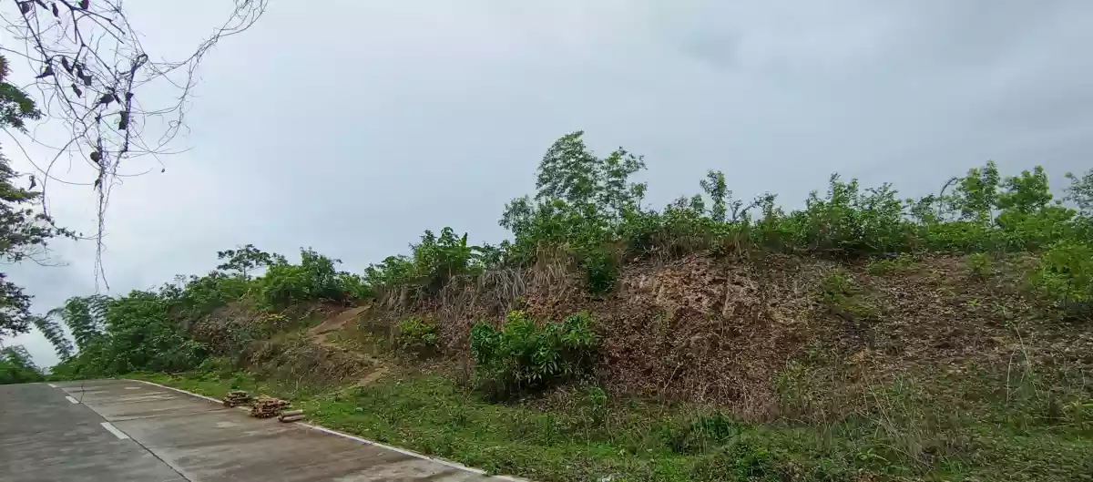 Lot For Sale in Sitio Libo, San Roque, Liloan Cebu — Agricultural Lot in Camino Vicinal Road, libho, Liloan — Photo 5