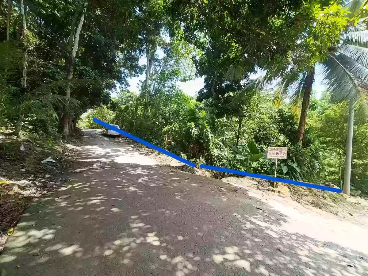 Lot For Sale in Consolacion — Agricultural Lot in Cabangahan Road, Consolacion, Cebu — Photo 3
