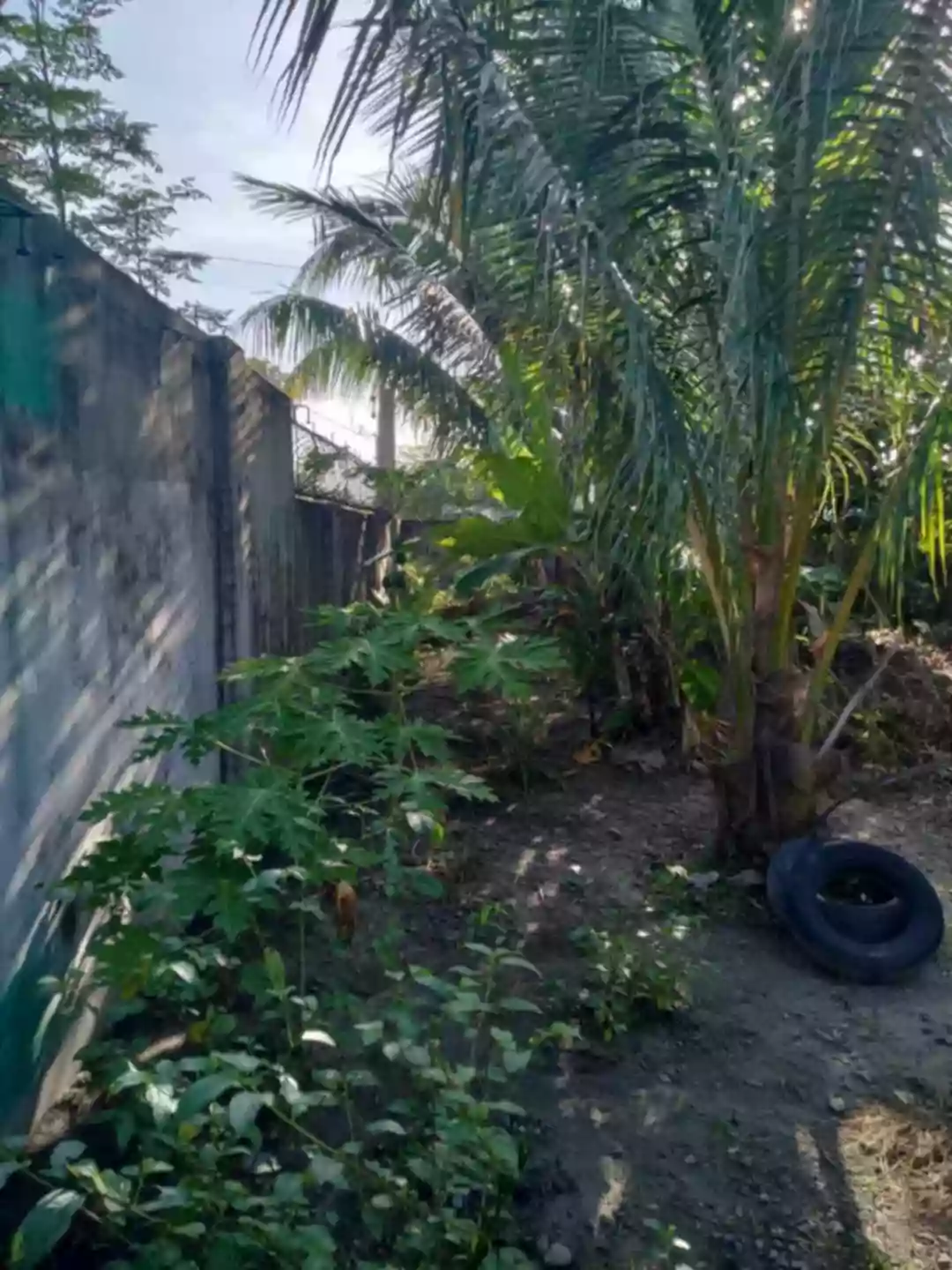 LOT FOR 400sq.m. Lot area both Corner Lot — Residential Lot in Talisay City, Negros Occidental, Philippines — Photo 3