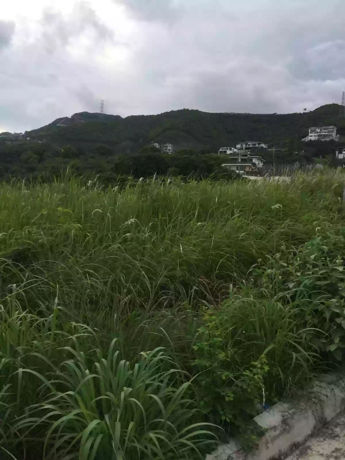 Monterrazas De Cebu Lot For Sale — Residential Lot in Philippines — Photo 5