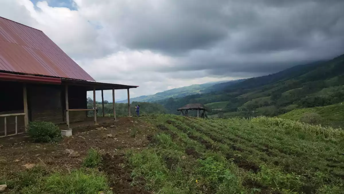 2.2 Hectares Farm Lot with 360° View in Basak, Lantapan, Bukidnon — Agricultural Lot in Lantapan, Bukidnon, Philippines — Photo 4