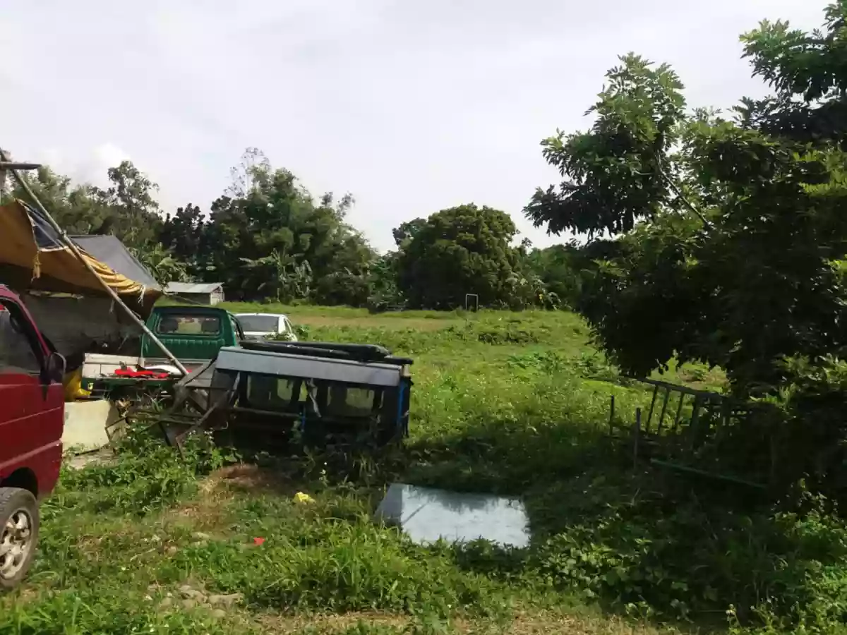 Residential lot — Residential Lot in Silay City, Negros Occidental, Philippines — Photo 6