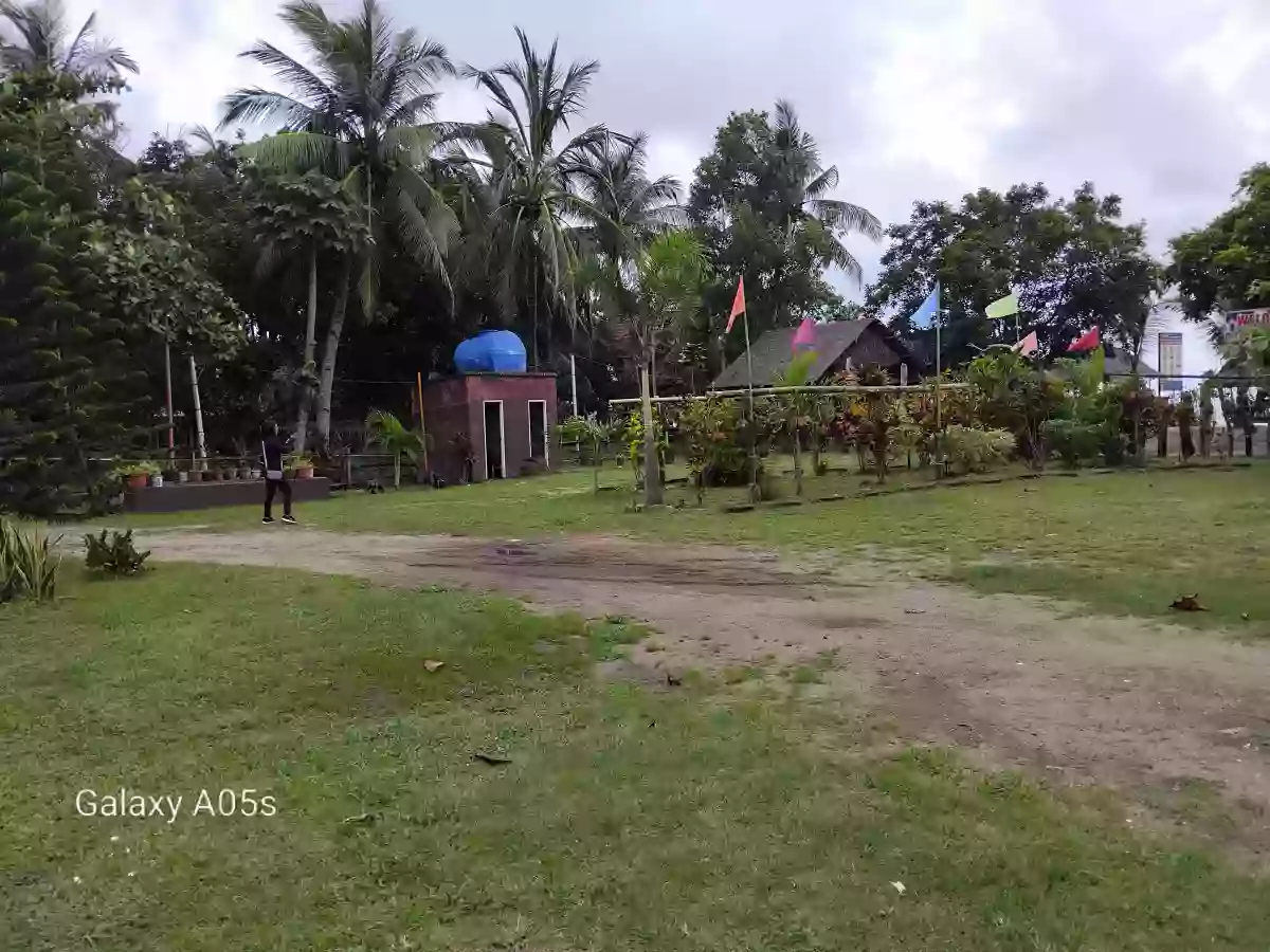 Beach Resort For Sale (Sipalay)