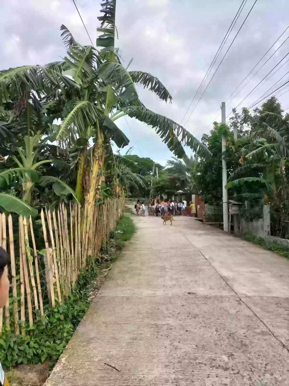 3,585 squaremeters Overlooking Lot Upper Jugno, Amlan Negros Oriental — Agricultural Lot in Amlan, Negros Oriental, Philippines — Photo 7