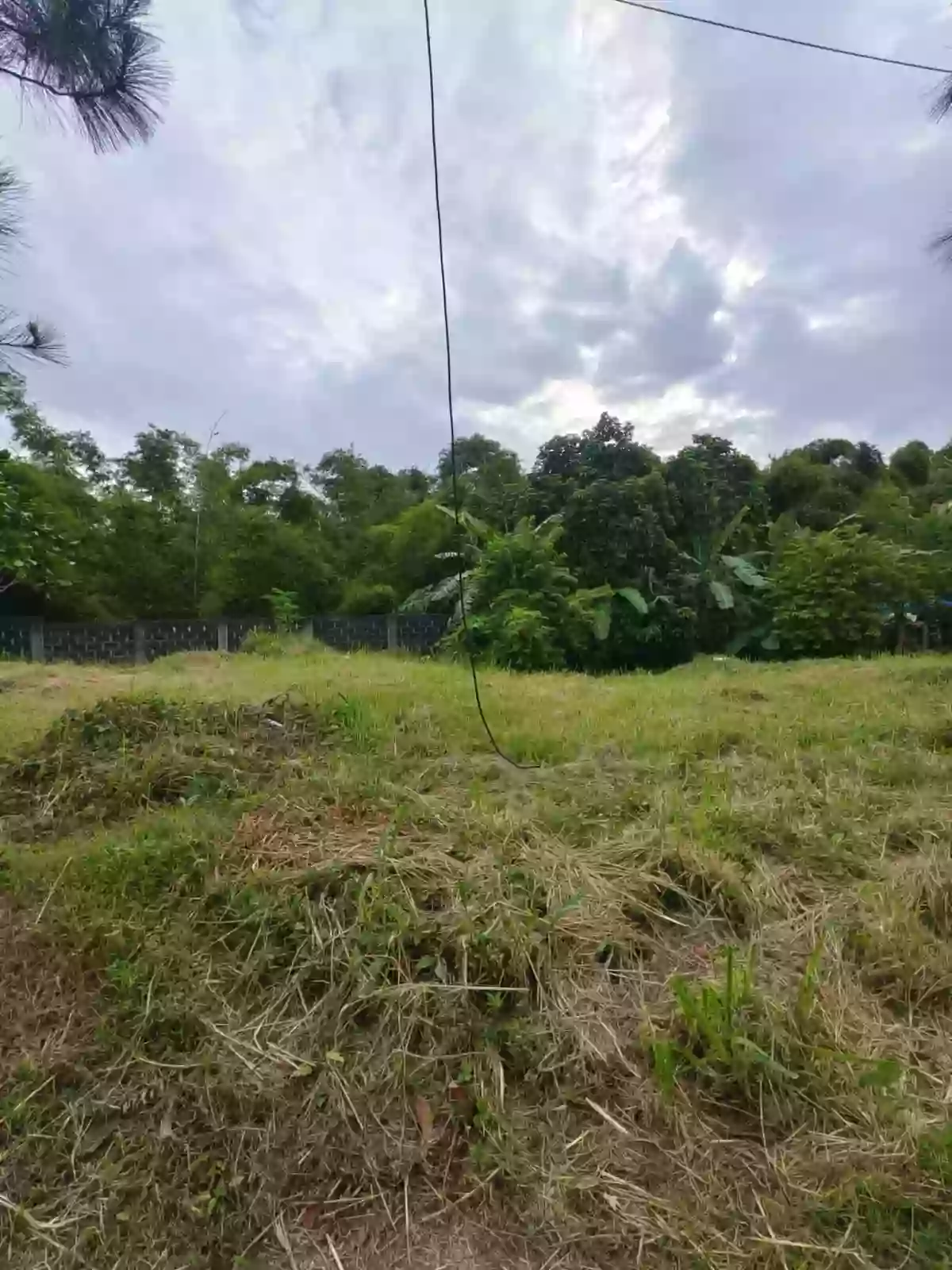 Residential Lot at Camella Heights Naga- Rush For Sale — Residential Lot in Naga City, Camarines Sur, Philippines — Photo 3