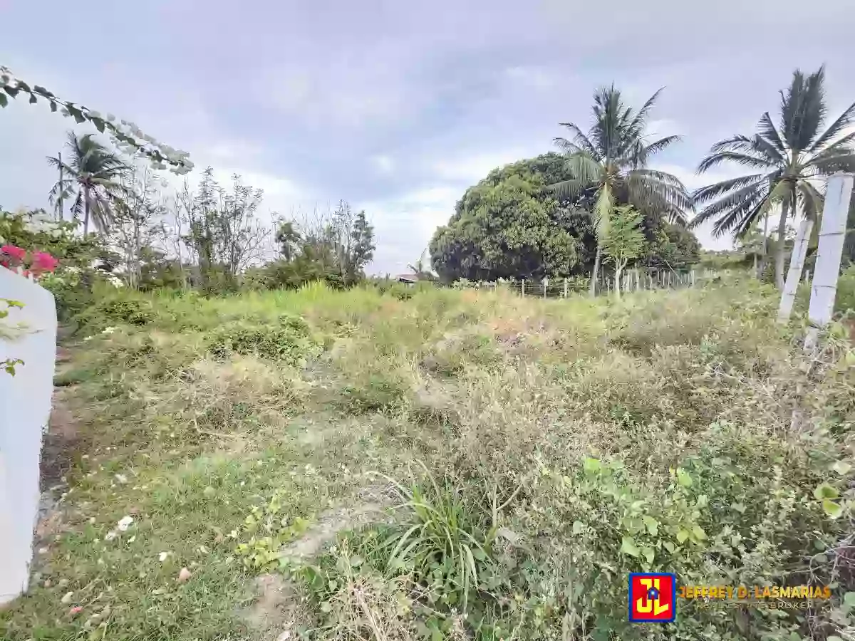 Rush Sale! 395sqm Lot in San Miguel, Bacong [available]