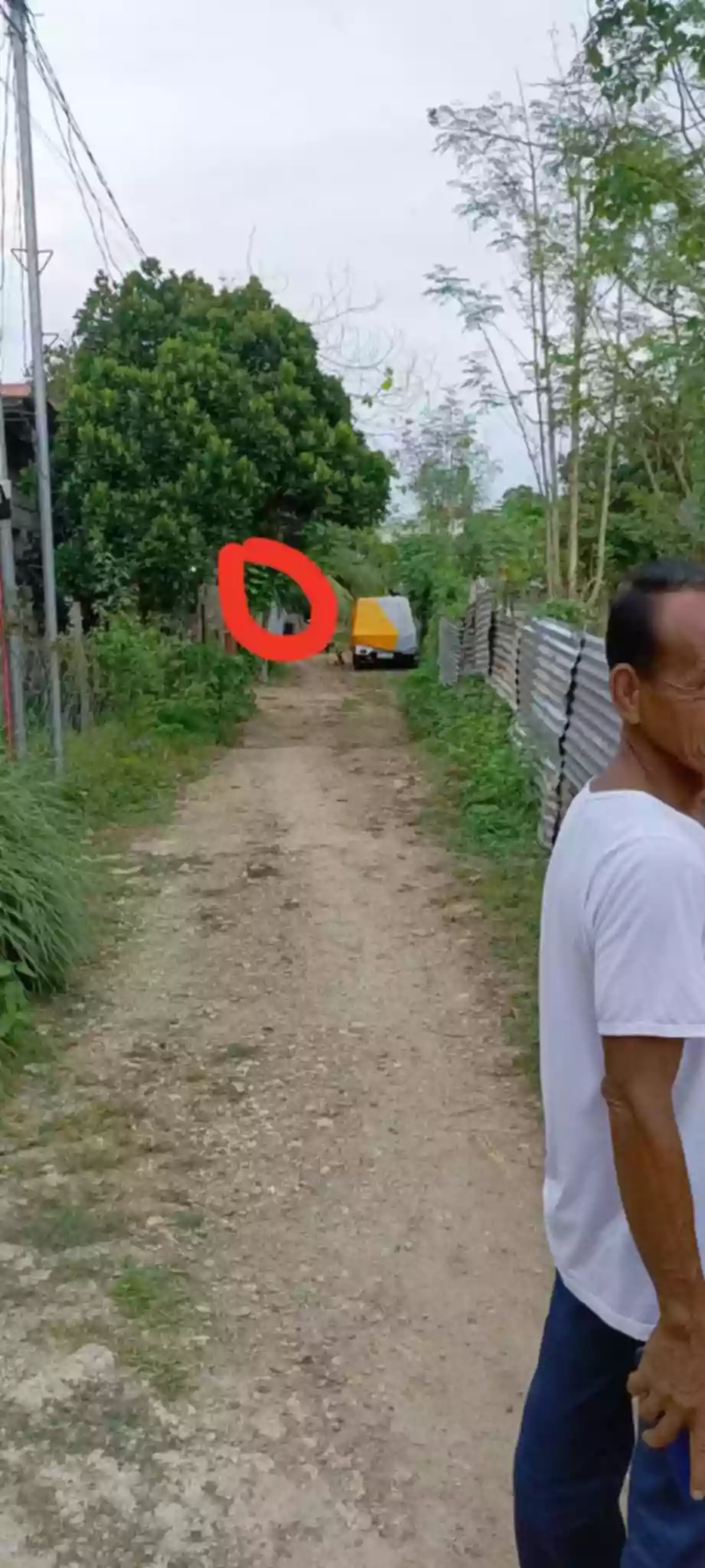LOT FOR SALE with old House — Residential Lot in Danao City, Cebu, Philippines — Photo 2