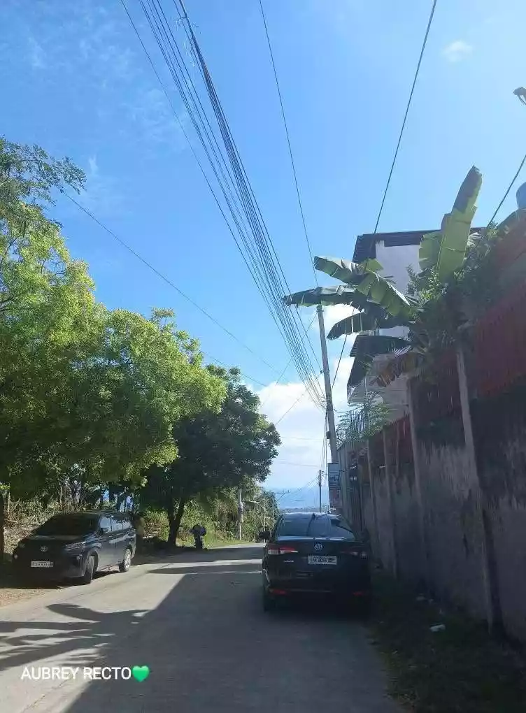 Overlooking 1,000 sqm Lot in Maghaway, Talisay City, Cebu — Residential Lot in Talisay, Cebu, Philippines — Photo 5