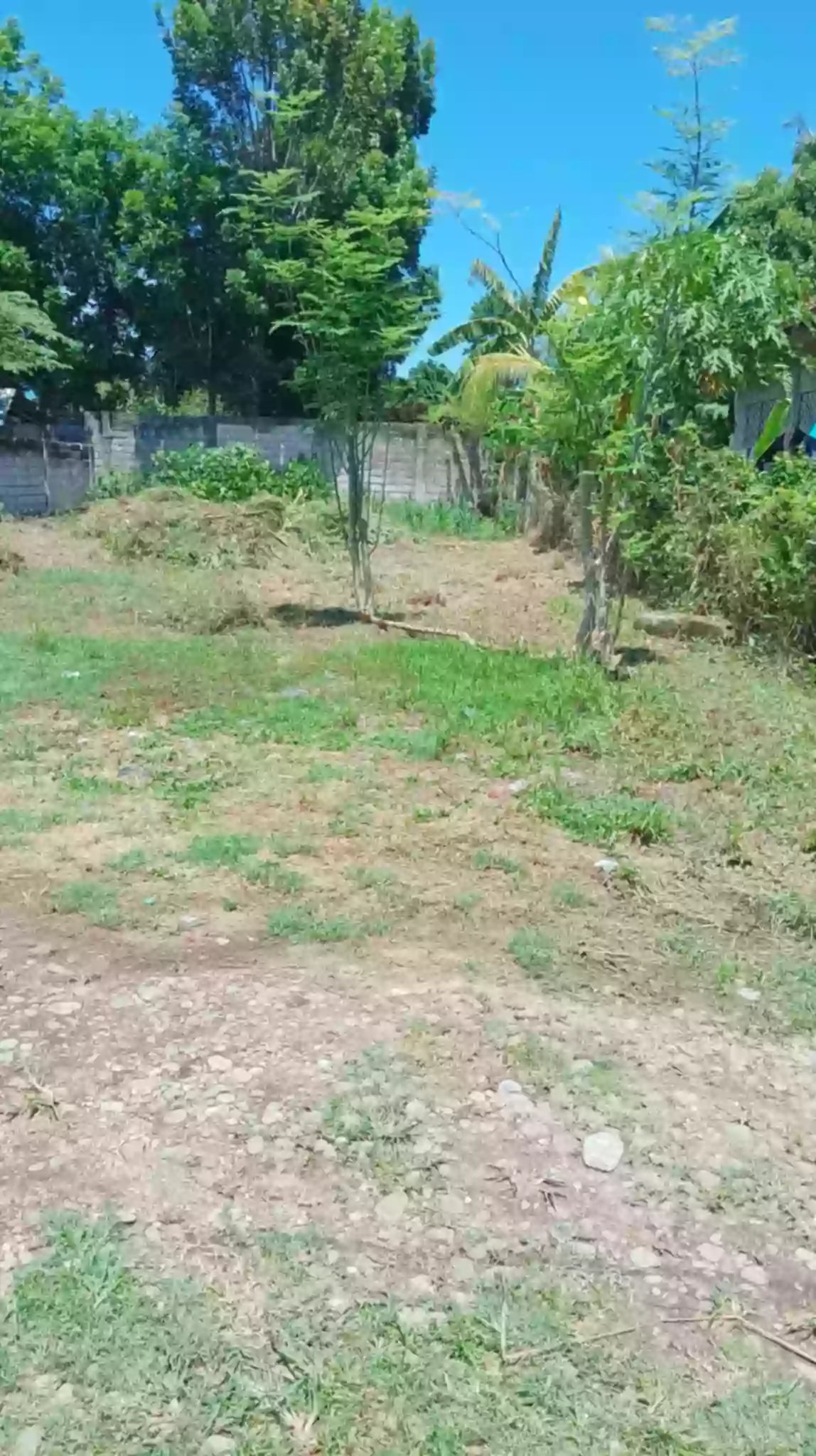 RUSH LOR FOR SALE — Residential Lot in Dumaguete, Negros Oriental, Philippines — Photo 5