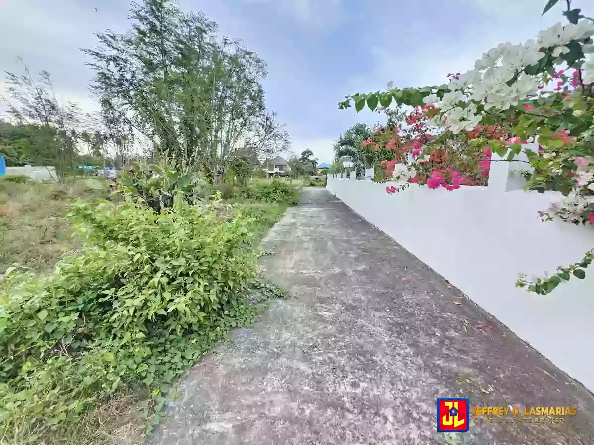 Rush Sale! 395sqm Lot in San Miguel, Bacong [available] — Residential Lot in Bacong, Negros Oriental, Philippines — Photo 3