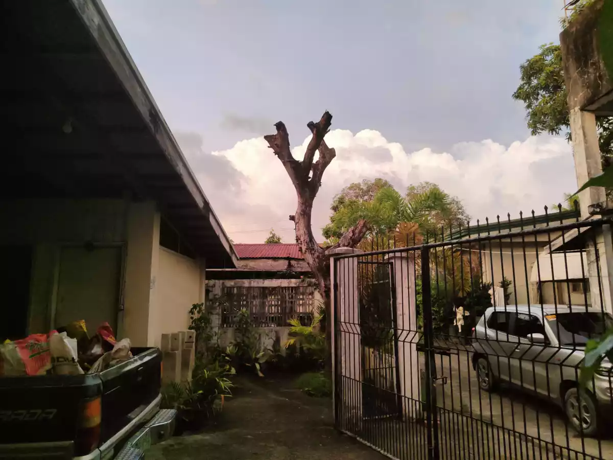 Huge 1,050 sqm Lot in Villa Arevalo – Prime Investment! — Residential Lot in Osmeña Street, Arevalo, Iloilo City — Photo 2