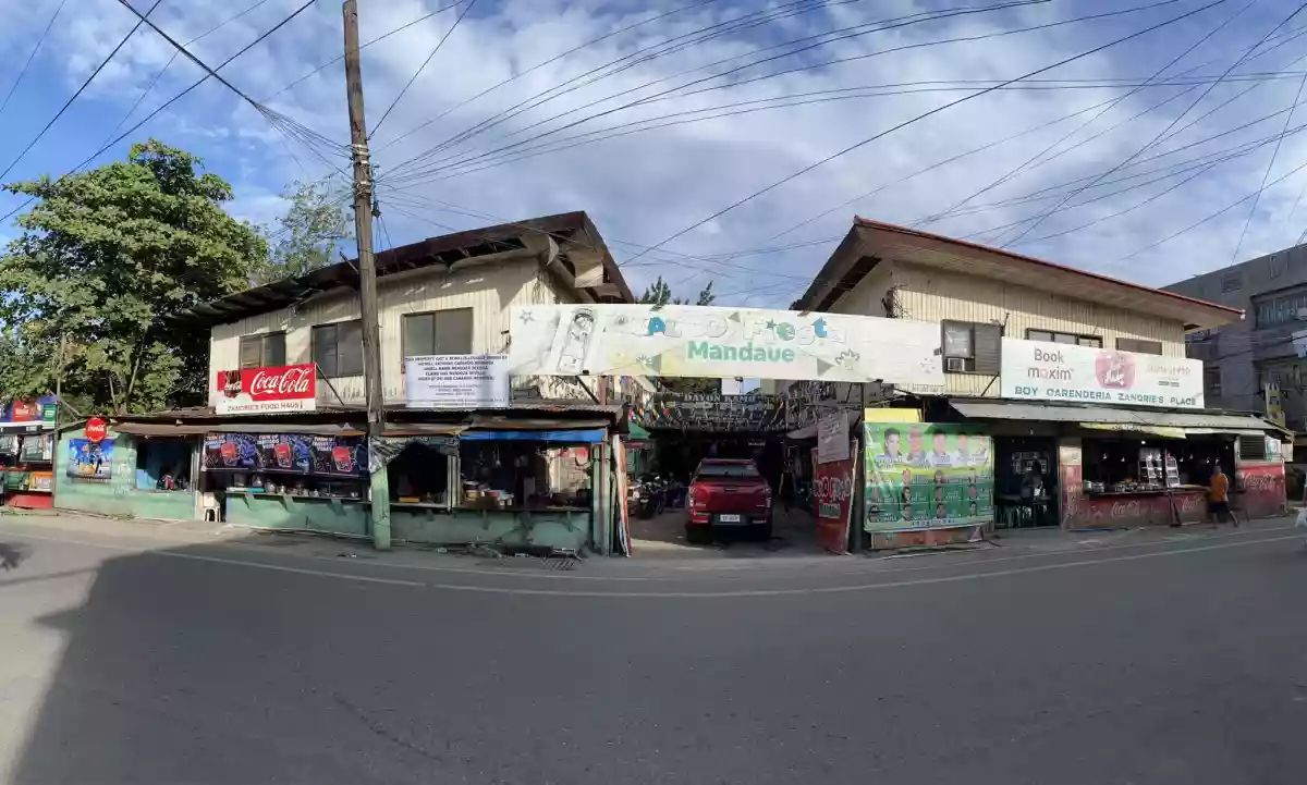 Residential or Commercial Lot for Sale in Mandaue City — Residential Lot in Mandaue City, Cebu, Philippines — Photo 4