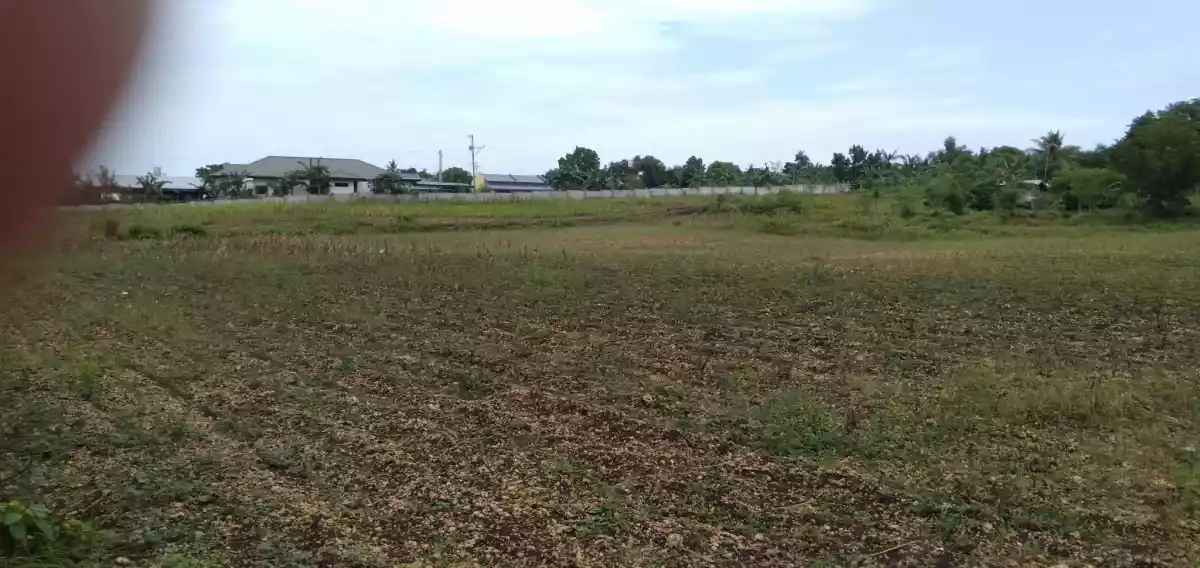 8.3 HECTARES LOT FOR SALE- BOGO CITY, CEBU — Commercial Lot in Bogo City, Cebu, Bogo City — Photo 6