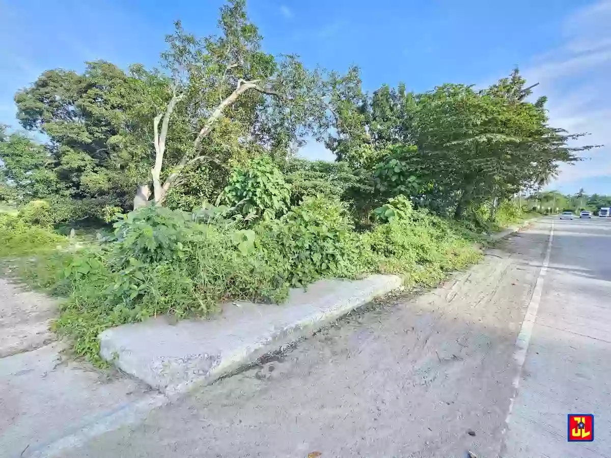 Rush Sale 2,788sqm Lot Along Diversion Road, Isugan, Bacong [available] — Commercial Lot in Bacong, Negros Oriental, Philippines — Photo 3